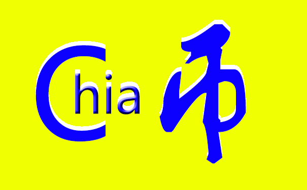 Chia币挖矿服務器配置，什么是Chia？