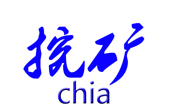 P盘机和Chia挖矿机之间的异同