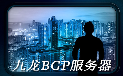 BGP高防御的原理和九龙BGP机房的优点