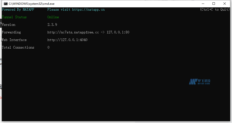 如何使用NATAPP实现内网穿透?