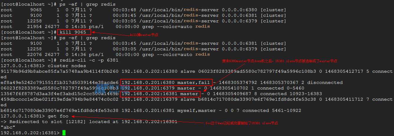Redis集群搭建(二)