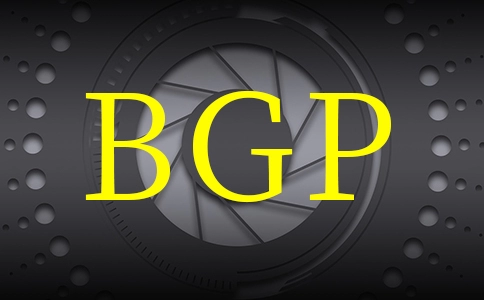 什么是九龙BGP服务器？BGP服务器怎么样？为何选择BGP机房？