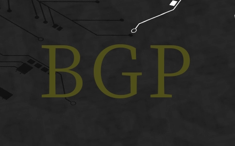 什么是九龙BGP服务器？BGP服务器怎么样？为何选择BGP机房？
