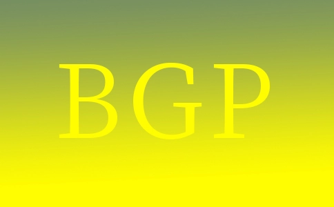 什么是BGP？BGP有哪些优势？真伪BGP的区别有哪些？