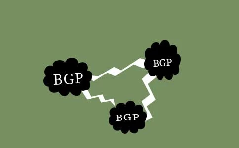 探讨在BGP服务器中结合静态路由和动态路由，以实现网络优化和灵活性