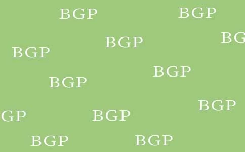 边界网关协议(BGP)和BGP路由的信息管理功能