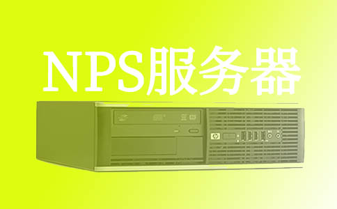 什么是NPS服务器？网络策略服务器的目的是什么？