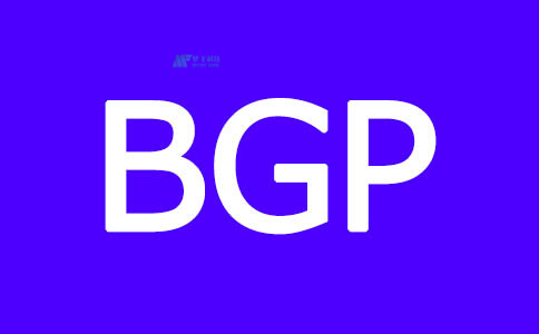 什么是BGP自治系统？BGP的缺陷以及解决方法