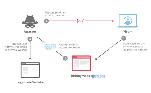 常见的网络钓鱼攻击有哪些？