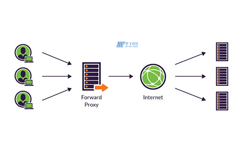 正向代理服务器和反向代理服务器的差别