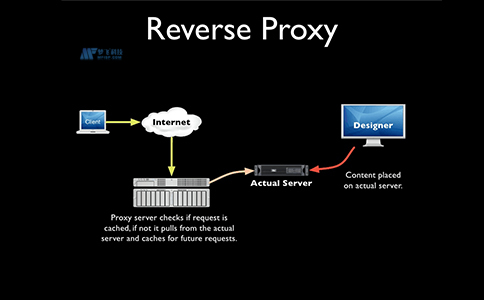 正向代理服务器和反向代理服务器的差别
