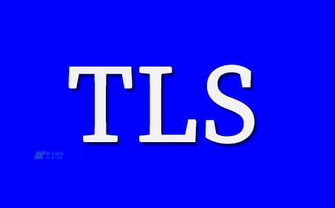 什么是传输层安全性？TLS如何工作？