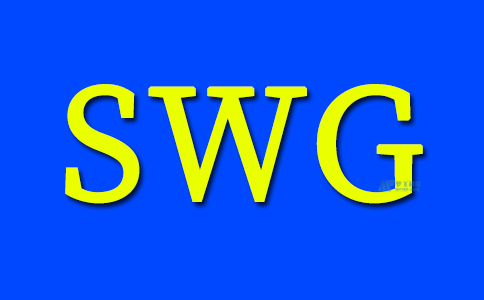 什么是安全Web网关？