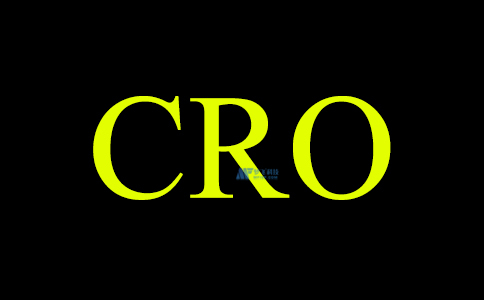 搜索引擎优化与转化率优化哪个好？