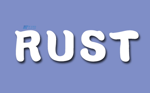 RUST专用服务器的要求是什么？