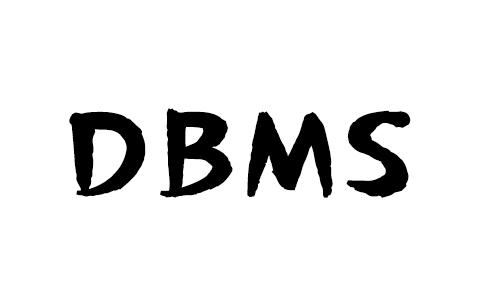 什么是数据库管理系统(DBMS)