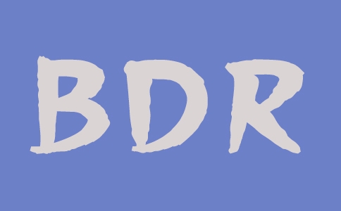 什么是BDR服務器，它為什么對您很重要？