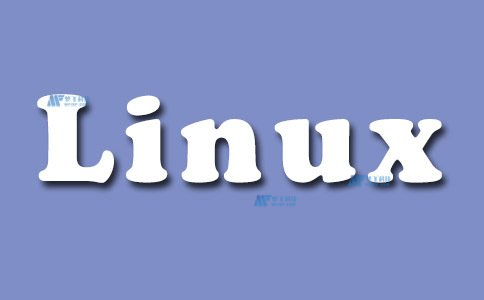 Windows vs Linux服务器系统:小白选择哪个更合适?