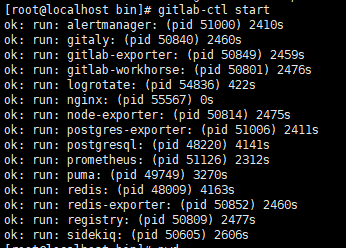 Linux环境 GitLab 安装