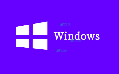 什么是 Windows 服务器？