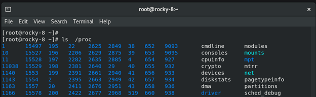 理解Linux文件系统树的完整指南