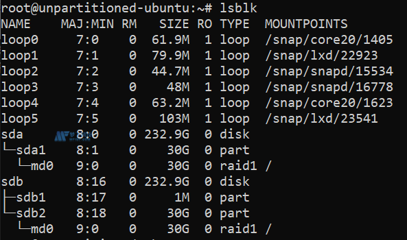 如何在Linux上对磁盘驱动器进行分区和格式化