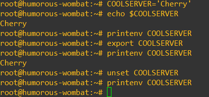 如何设置、列出和管理Linux环境变量