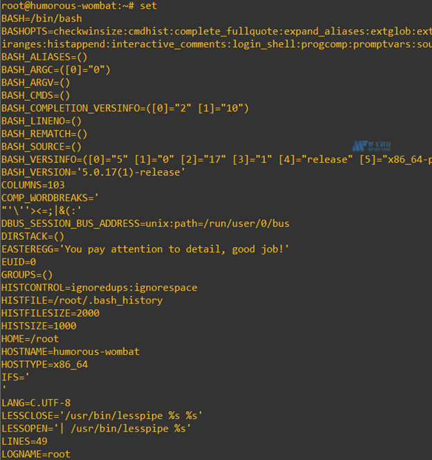 如何设置、列出和管理Linux环境变量