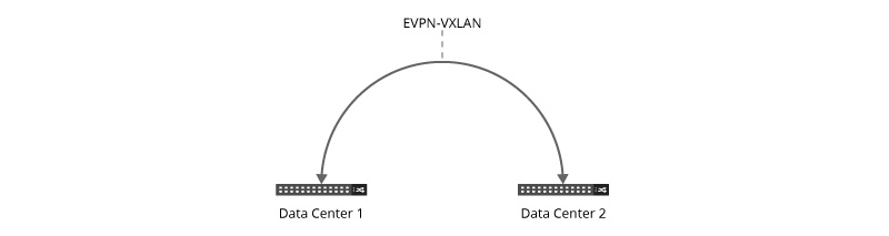 EVPN-VXLAN：如何在数据中心使用它