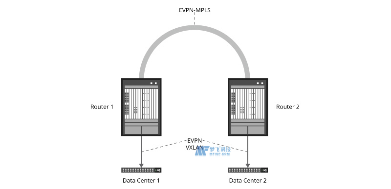 EVPN-VXLAN：如何在数据中心使用它