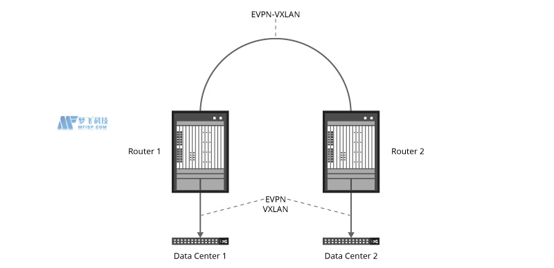 EVPN-VXLAN：如何在数据中心使用它