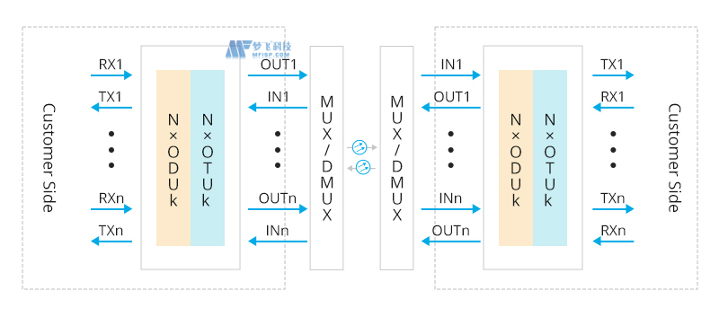 复用转发器与转发器：它们在OTN网络中的区别是什么？
