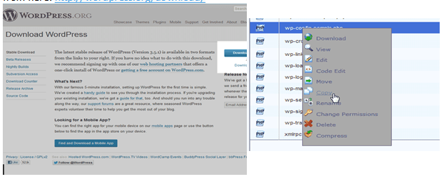 如何设置托管WordPress网站