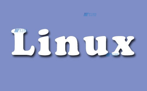 美国服务器在Liunx系统与Windows系统之间如何选择