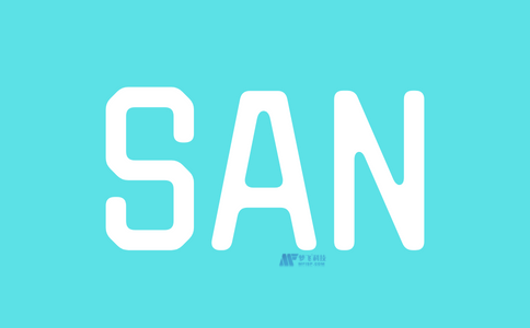 什么是存储区域网络(SAN)？