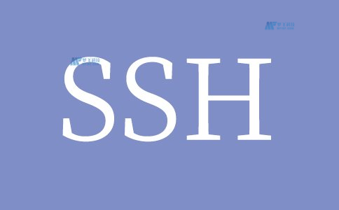 Linux系统服务器运维方案