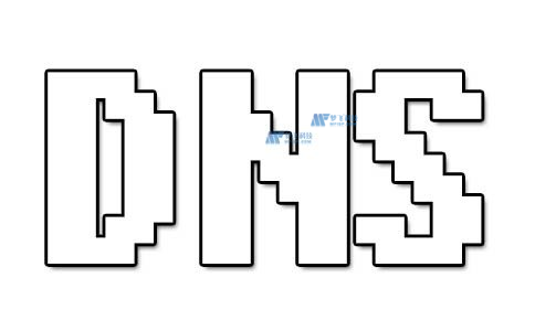 美国服务器所支持的网站类型