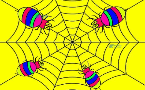 蜘蛛池的工作原理