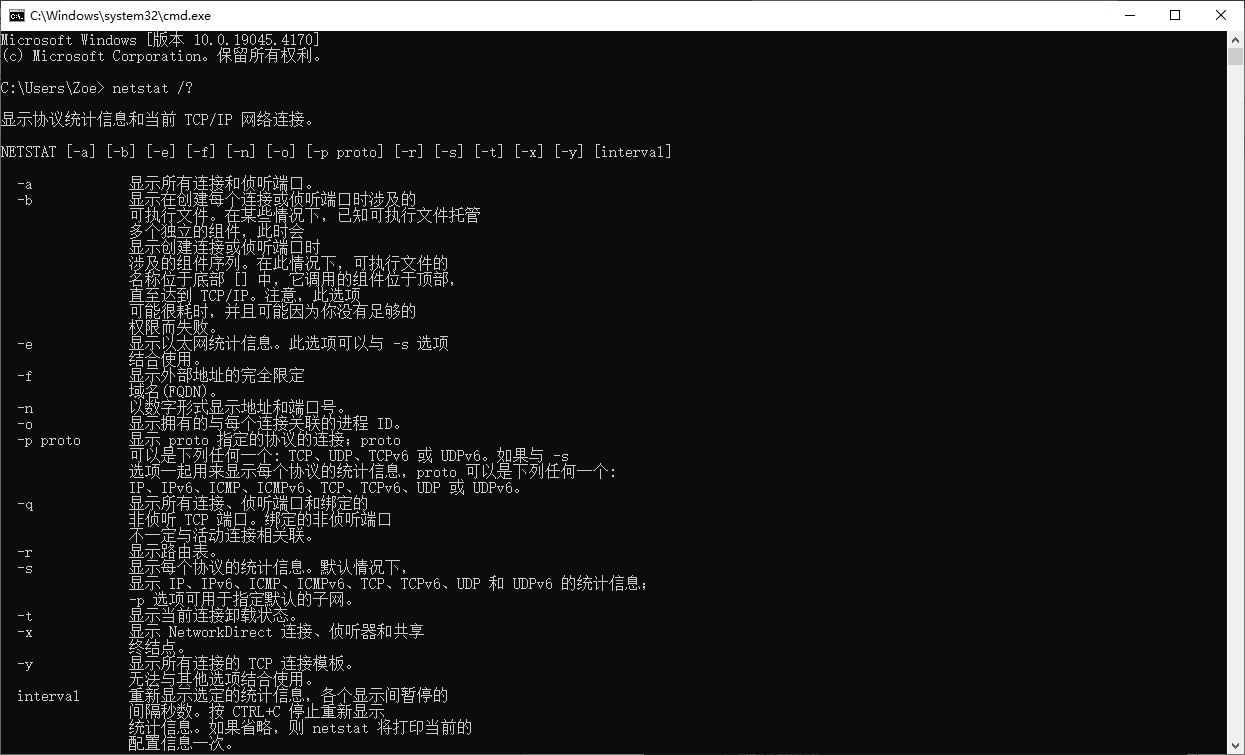 美国服务器Windows系统的Netstat命令