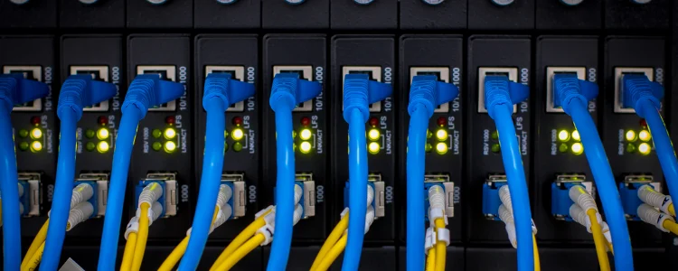 网络交换机安全 101：了解基础知识