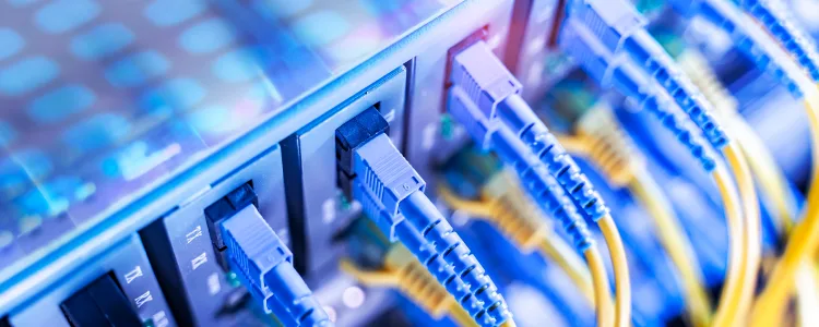 网络交换机安全 101：了解基础知识