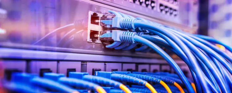 网络交换机安全 101：了解基础知识