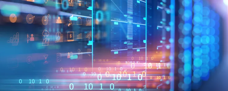 网络交换机安全 101：了解基础知识