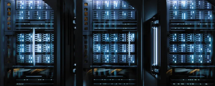 软件 RAID 与硬件 RAID – 有什么区别？