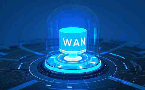 什么是广域网 (WAN)?