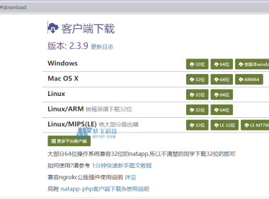如何使用NATAPP实现内网穿透?