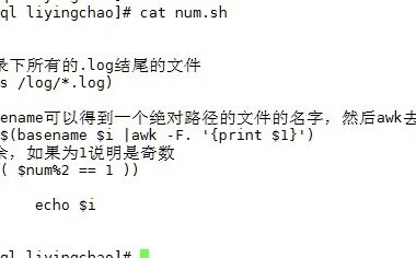Linux——如何建立回收站