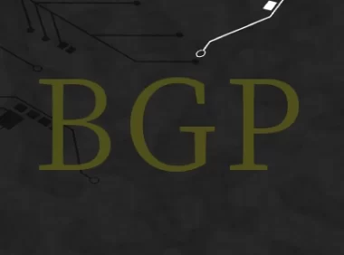 美国云服务器bgp是什么意思？