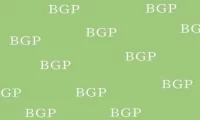 边界网关协议（BGP）和BGP路由的信息管理功能