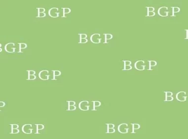 边界网关协议（BGP）和BGP路由的信息管理功能